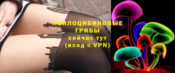 гидропоника Кодинск