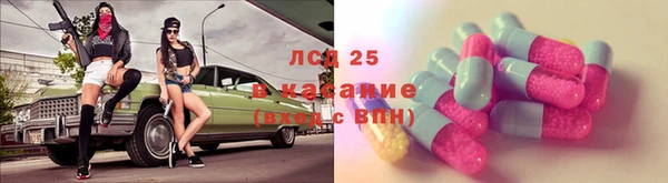гидропоника Кодинск