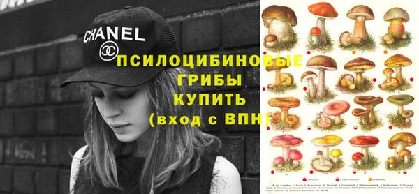 гидропоника Кодинск