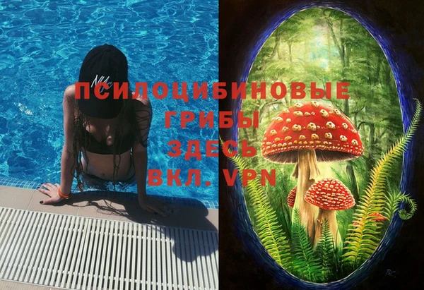 гидропоника Кодинск